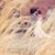 Christina Posvar's profile image