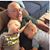 John Haluck's profile image