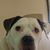 Donovan Neisler's profile image