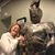 Joyce Wilson's profile image