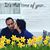 Vahid Tamadonnejad's profile image