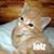 Sandy Clark's profile image