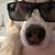 Monica Tessmer's profile image