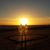 Dawn Acton's profile image