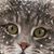 Chris Eaton's profile image