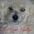 Kathy McAllister's profile image