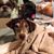 Stephanie L Clayton's profile image