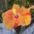 Stephen Dugay's profile image