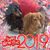 Pamela Mertins Williams's profile image