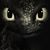 Lisa N. Butler's profile image