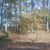Savethreechopt Woods's profile image