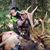 Brad Fairbank's profile image