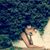 Latrice Pratt's profile image