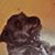 Rayma Hobbs's profile image
