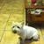 June Starkey's profile image
