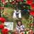 Mary Lou Vidaurri's profile image