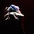 Johanna Carlisle-Zepeda's profile image