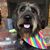 Ann Padelford Benson's profile image
