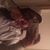 Christine Myers's profile image