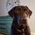Dena Matheny's profile image