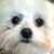 Missy Beyl Barry's profile image
