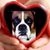 Laurie Sheffer's profile image