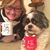 Tammy Smith Cote's profile image