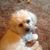 Ron Manos's profile image