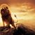 Sonia N. Perez's profile image