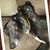 Marlene Fernandez Iredale's profile image