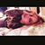 Rachel Redman's profile image