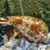 Scott Lundquist's profile image