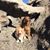Wendy Haugen's profile image