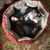 Sue Habeck's profile image