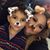 Lily Hernandez-Soto's profile image