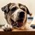 Eileen Bouressa's profile image