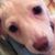 Ellie Rizzitano's profile image