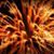 Mark Trammell's profile image