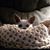 Kimberly Montgomery's profile image