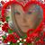Elizabeth Pond's profile image
