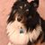 Michele Olson's profile image