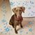 Carlene Rizzo's profile image