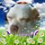 Tiki Winters's profile image