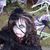 Denise Meiskey Adams's profile image