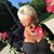 MyLisa Miller's profile image