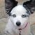 Wanda Delancey's profile image