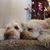 Heather Ketterer's profile image