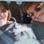 Diana Howe Talcott's profile image
