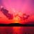 Shamaila Amjad's profile image