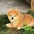 Patrick Scott Anderson's profile image
